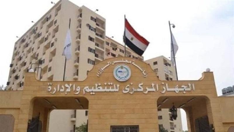 التنظيم والإدارة 