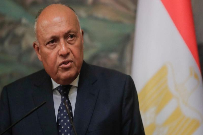 سامح شكري وزير الخارجية