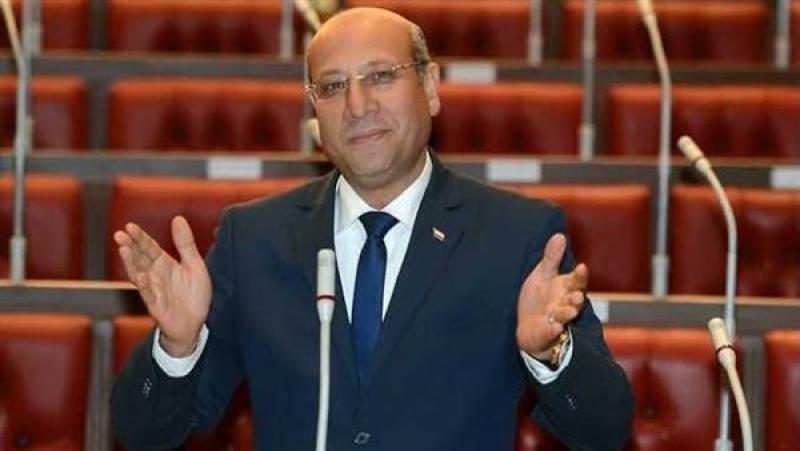 النائب عمرو عكاشة