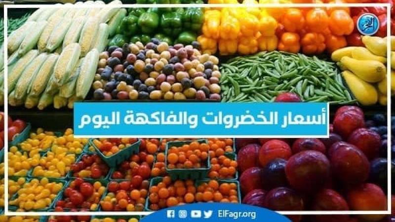 الفاكهة اليوم